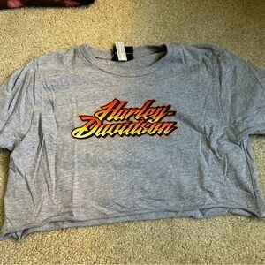 Harley-Davidson Gray Crop Top with Red and Yellow Logo